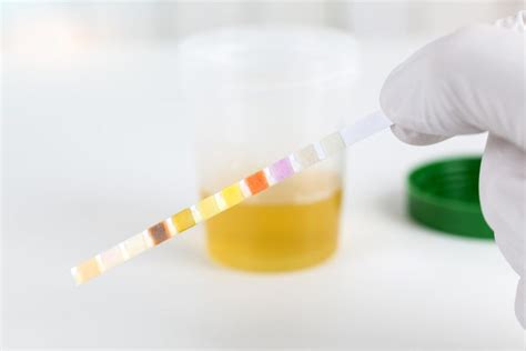 Synthetic Urine: The Definitive Guide to Fake Urine 